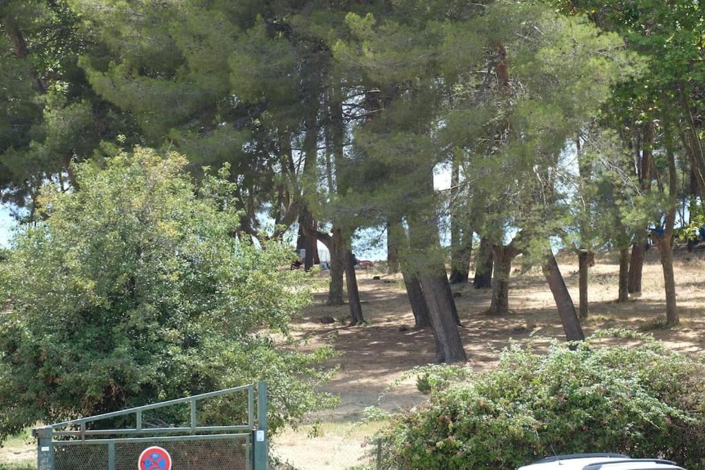 Petit Paradis Classe 3 Etoiles A 200M De La Plage! Terrasse-Wifi-Parking-Clim Saint-Mandrier-sur-Mer Exterior photo