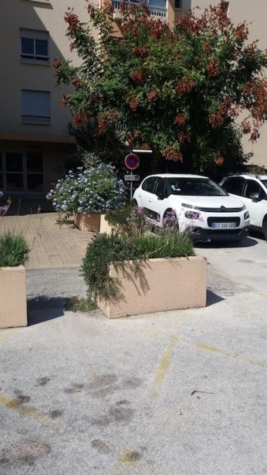 Petit Paradis Classe 3 Etoiles A 200M De La Plage! Terrasse-Wifi-Parking-Clim Saint-Mandrier-sur-Mer Exterior photo