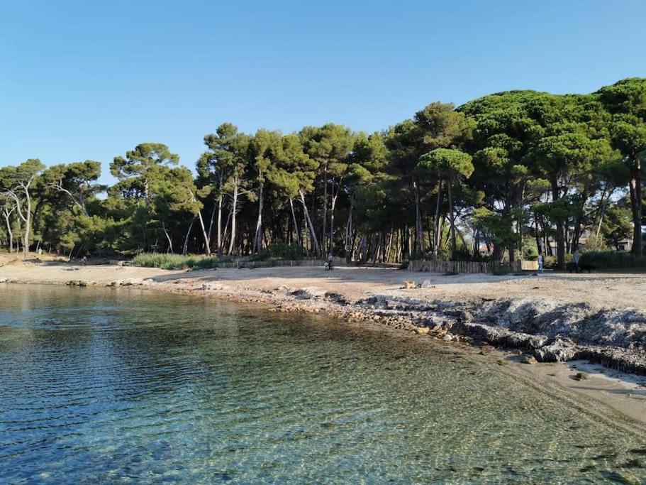 Petit Paradis Classe 3 Etoiles A 200M De La Plage! Terrasse-Wifi-Parking-Clim Saint-Mandrier-sur-Mer Exterior photo