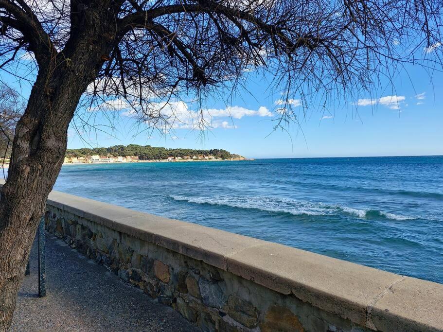 Petit Paradis Classe 3 Etoiles A 200M De La Plage! Terrasse-Wifi-Parking-Clim Saint-Mandrier-sur-Mer Exterior photo