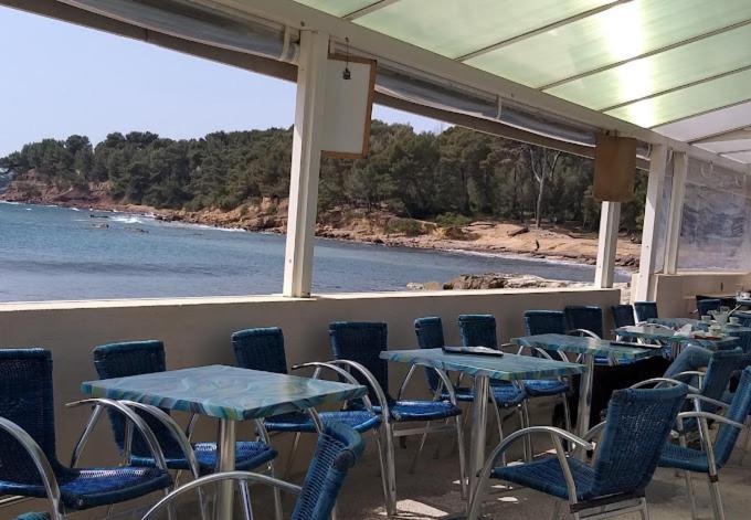 Petit Paradis Classe 3 Etoiles A 200M De La Plage! Terrasse-Wifi-Parking-Clim Saint-Mandrier-sur-Mer Exterior photo